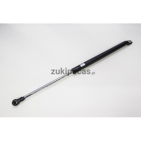 Amortecedor de Porta