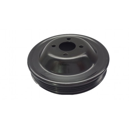 Polie de Bomba de Água