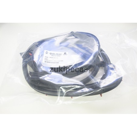 Borracha da Porta de Trás Lado Direito