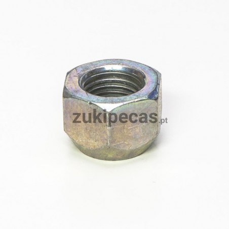 Porca dos pernos de Jante