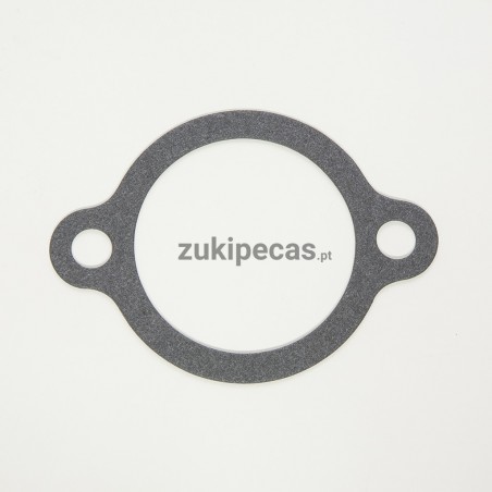 Junta da tampa do Termoestato