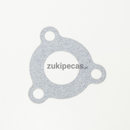 Junta do Corpo da Injeção