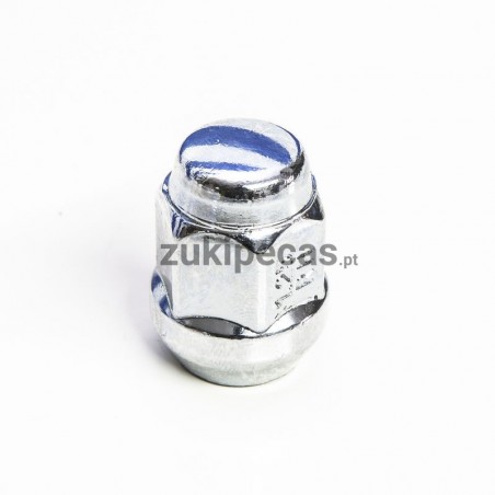 Porca dos pernos de Jante