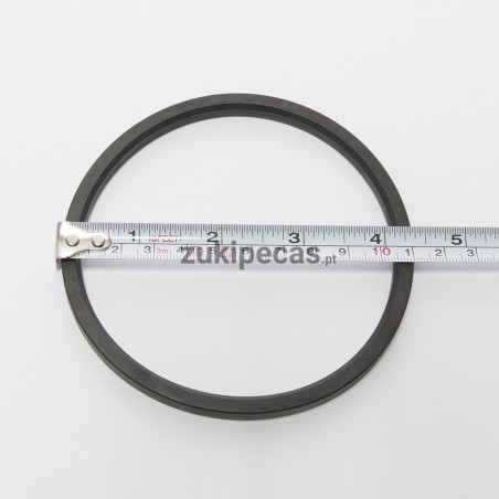 Vedante do Filtro de Combustível no Depósito