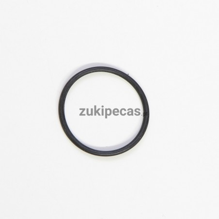 O-ring do Speedometer