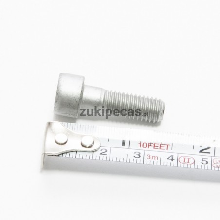 Parafuso da Linha de Escape Vitara