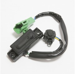 Switch do Puxador de Porta