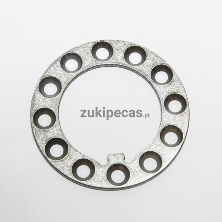 Anel de Fecho do Rolamento