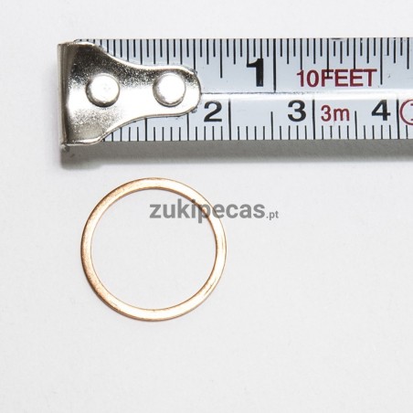 Anilha dos Injetores