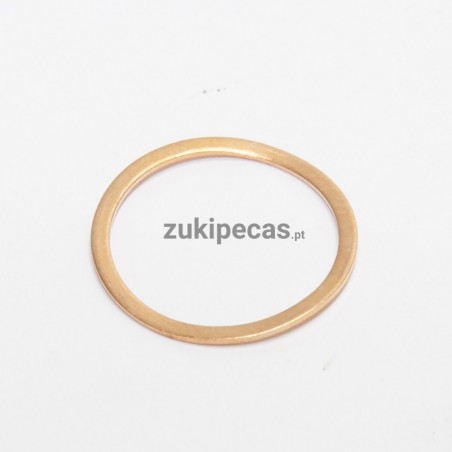 Anilha dos Injetores