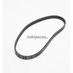 Correia da Direção Assistida