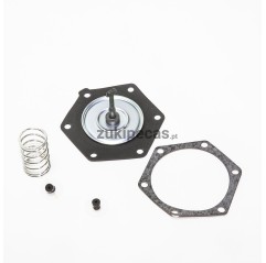 Membrana Bomba Mecanica Combustível F10A