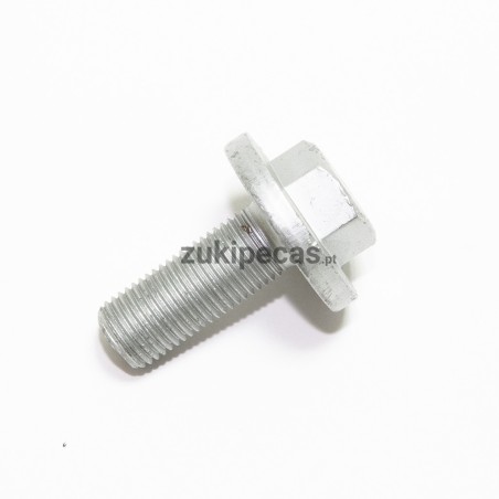 Parafuso central da Polie da Cambota 1.6