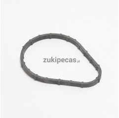 Vedante do Corpo do Termoestato Euro3