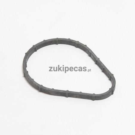 Vedante do Corpo do Termoestato Euro3