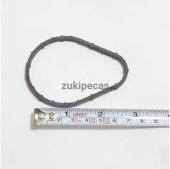 Vedante do Corpo do Termoestato Euro3