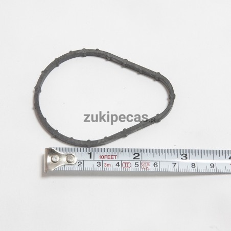 Vedante do Corpo do Termoestato Euro3