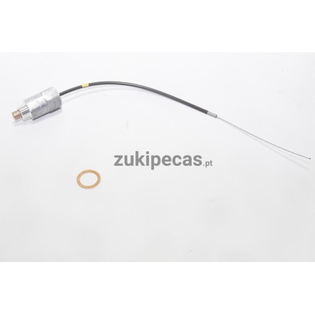 Válvula Termoestática de Arranque a Frio