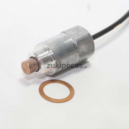 Válvula Termoestática de Arranque a Frio