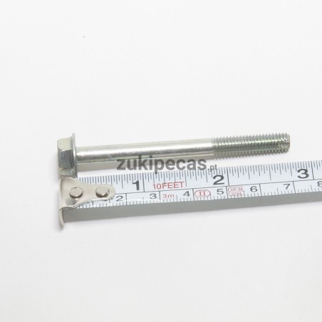 Parafuso da Tampa das Válvulas 1.0